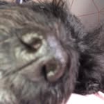 Ami - @ami.harvey_ - Instagram