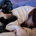 Ami Herbstreit - Facebook