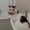 Amy Hester - @amyhester0 - TikTok