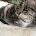 ami_ami_h - @ami_hirota - Instagram