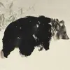 amirahollis73 - @amirahollis73 - TikTok