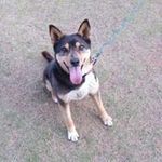 Ami Ikeda - @ikeda4801 - Instagram