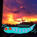 ami ikeda - @tweetam - Instagram