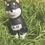 あみ - @ami.ima00 - Instagram