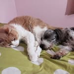 Amy Iverson - @iverson5827 - Instagram