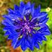 Amit Joglekar - Facebook