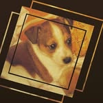 Ami Johnson - @mella8336 - Instagram