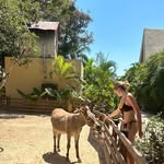 ami - @ami_jorgensen - Instagram