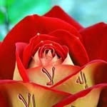 Ami Kamagate - @amikamagate03 - Instagram