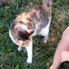 Amy Kaminski - @maddog12300 - TikTok