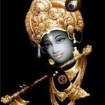 Ami Kapadia - @kapadia.ami - Instagram