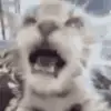 amikaseb20 - @amikaseb20 - TikTok