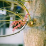 Ami Kimura - @shk_films - Instagram