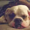 ami knight - @ami.knight4 - TikTok
