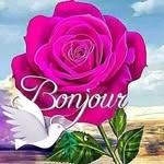 ami Konate - @amikonate0574645257 - Instagram