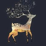 Ami Kowalska - @kowalska.ami - Instagram