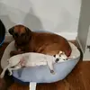 AMY KOWAL - @a.m.k.83 - TikTok
