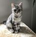 Ami lai - Facebook