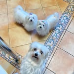 Ami Lara Nonna - @ami_lara_nonna - Instagram