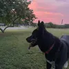 Amy Lara - @amylara999 - TikTok