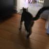sami_levine - @sami_levine - TikTok