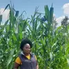 amilow - @milkaonyango48 - TikTok
