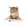 Amir Low - @amir.low - TikTok
