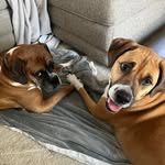 Ami Duffy - @amilynne_duffy - Instagram