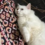 -- .- -. -. .- -. - @ami_mannan_ - Instagram