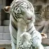 Ami Martinez - @amimartinez6 - TikTok