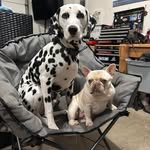 Amy Measel - @amyjsampson - Instagram