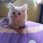 amoy mimoy - @a.mimoy - Instagram