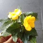 ami_osorio - @ami_osori0 - Instagram