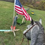 Ami Wells - @clue1005 - Instagram