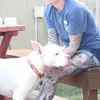 amie.morrison - @amie.morrison - TikTok