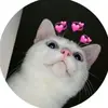 amieshine19361 - @amieshine19361 - TikTok