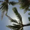 amiehansensteele - @amiehansensteele - TikTok