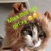 Amie Stephens - Facebook