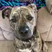 Amy Arnold Stump - Facebook