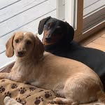 Amy Teske - @amylynn00051 - Instagram