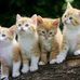 Amie Thacker - Facebook