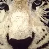 Amiee Todd129 - @amieetodd2 - TikTok