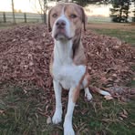 Amy Wagner - Facebook