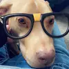 Amy Wallace - @amywallace62 - TikTok