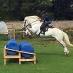 Amie Walters - @ponies_are_my_life_5 - Instagram