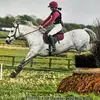 eventingamie - @amiewalters - TikTok