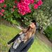 Amie Wilberg Walton - Facebook