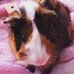 Amy Weitzman - Facebook