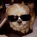 Jamie Westbrook - @jamiewestbrook66 - Instagram