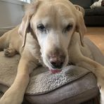 Amy Wilcox-Burnett - Facebook